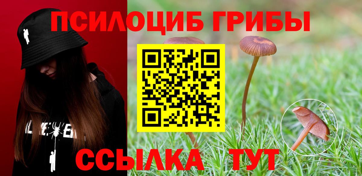 Псилоцибиновые грибы ЛСД  Псилоцибиновые грибы мицелий  Кызыл  Вход с VPN 